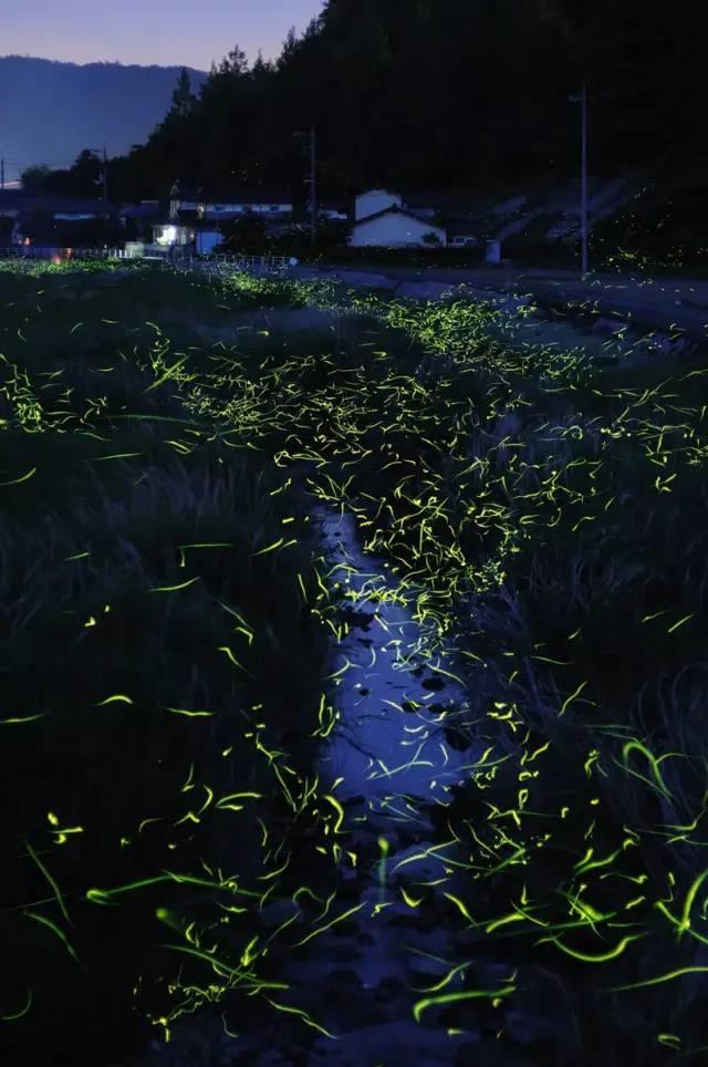 零胜零进球突破下限，国足等待拔管